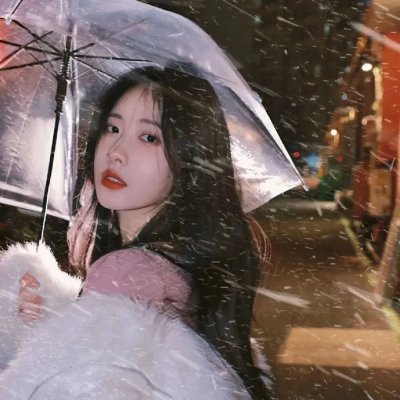 狮子彻夜未眠